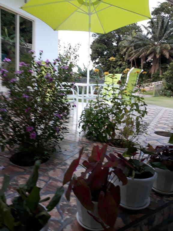 Loversnest Self Catering Anse aux Pins Exteriér fotografie