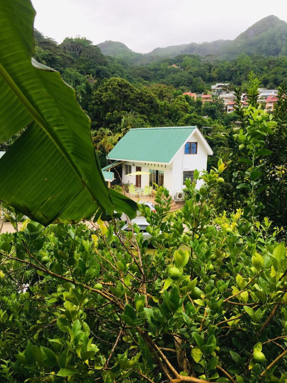 Loversnest Self Catering Anse aux Pins Exteriér fotografie